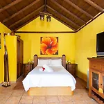 Casa El Mirlo: Paraiso Rural Con Piscina Y Hermosos Jardines En Icod De Vinos, Tenerife - Es-279-20 *