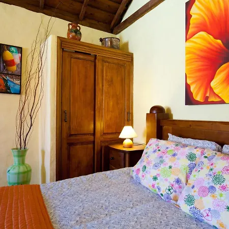 Casa El Mirlo: Paraiso Rural Con Piscina Y Hermosos Jardines En Icod De Vinos, Tenerife - Es-279-20 别墅